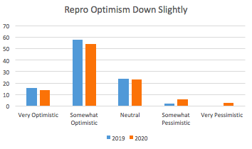 Repro Optimism Slips